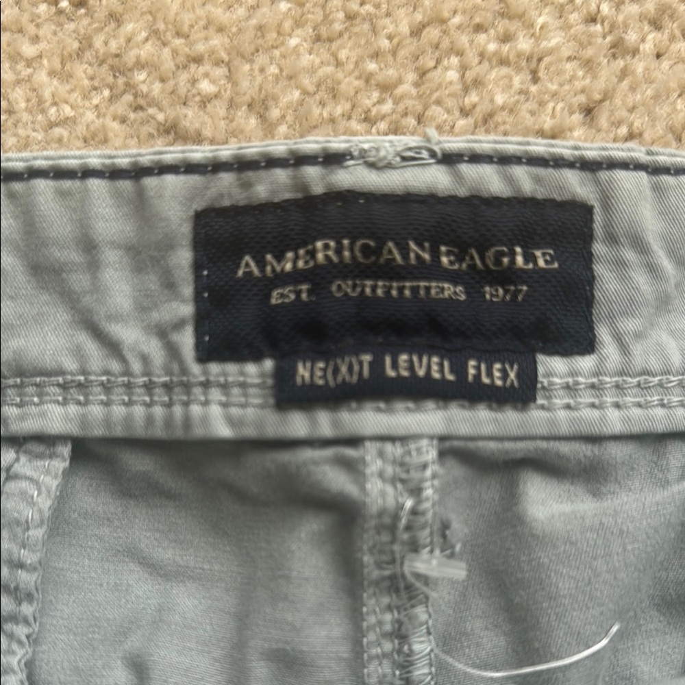 American Eagle Outfitters 31 Green Flat Front flex Shorts - Picture 3 of 6